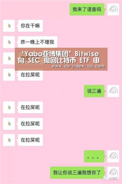 ‘Yabo亚博集团’Bitwise 向 SEC 撤回比特币 ETF 申请(图2) Yabo亚博集团