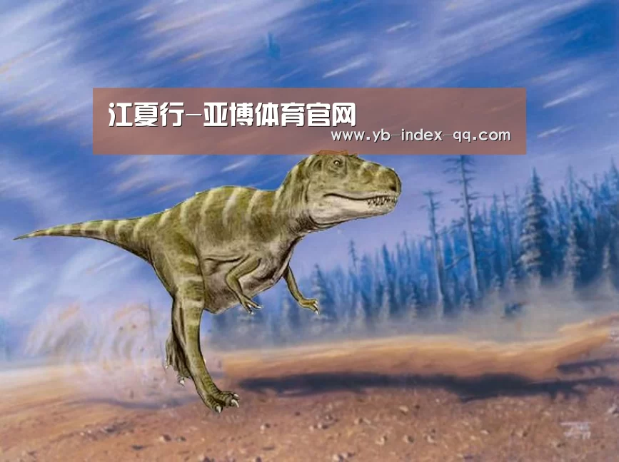 江夏行-亚博体育官网(图4) 亚博体育在线